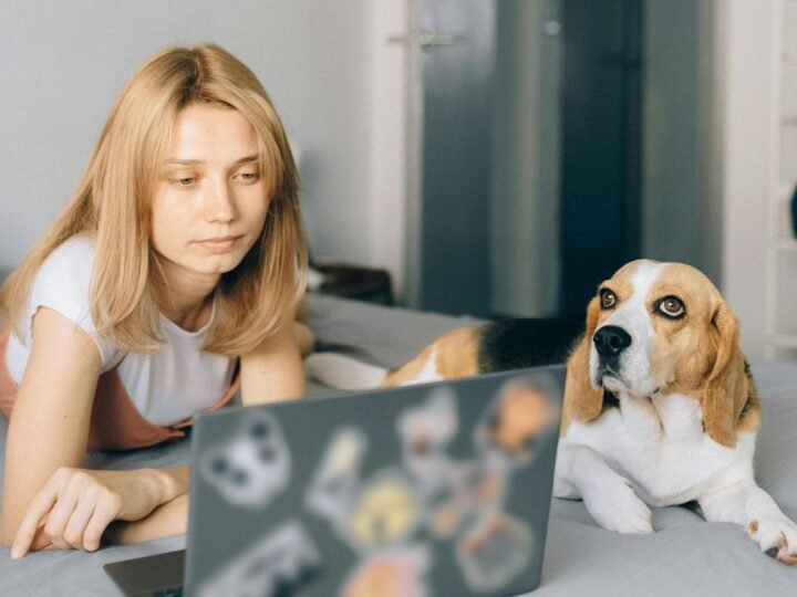 Curso de Inglês – Como escolher o ideal para você