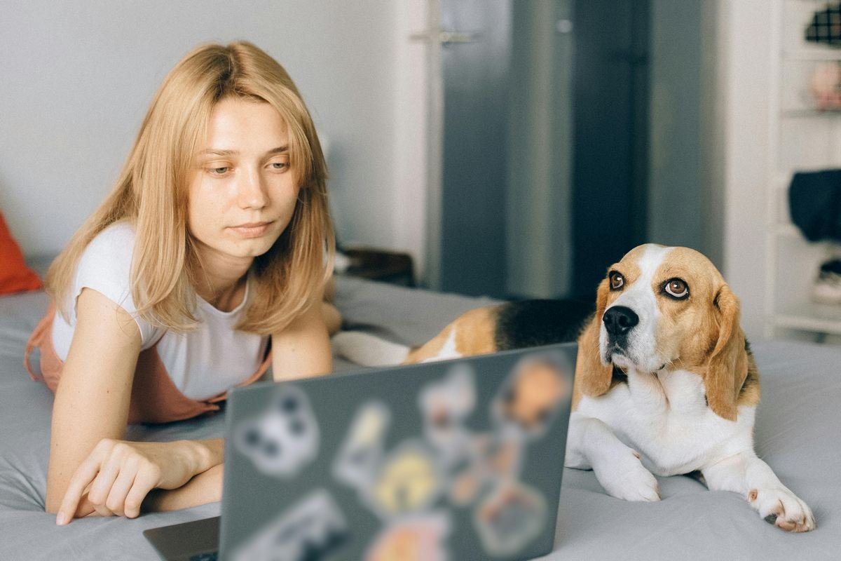 Curso de Inglês – Como escolher o ideal para você