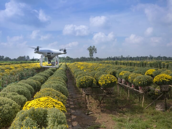 Tecnologia na Agricultura: Transformando o Campo com Inovação