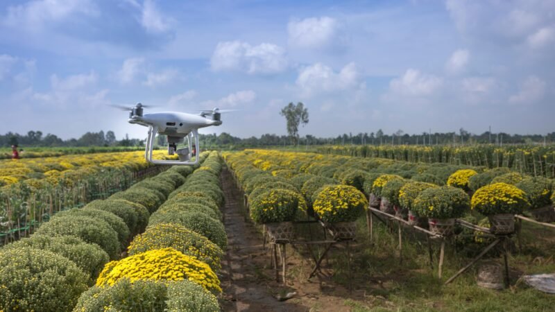 Tecnologia na Agricultura: Transformando o Campo com Inovação
