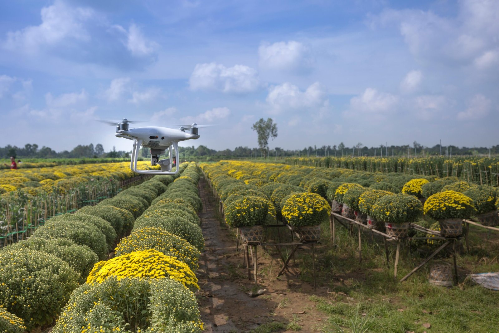Tecnologia na Agricultura: Transformando o Campo com Inovação