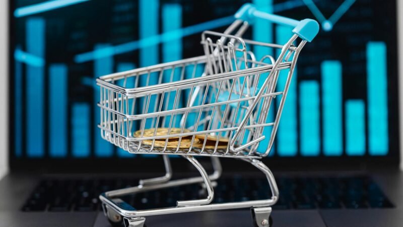 Crescimento dos Marketplaces no Brasil: Desvende as Tendências e Oportunidades para o Seu Negócio