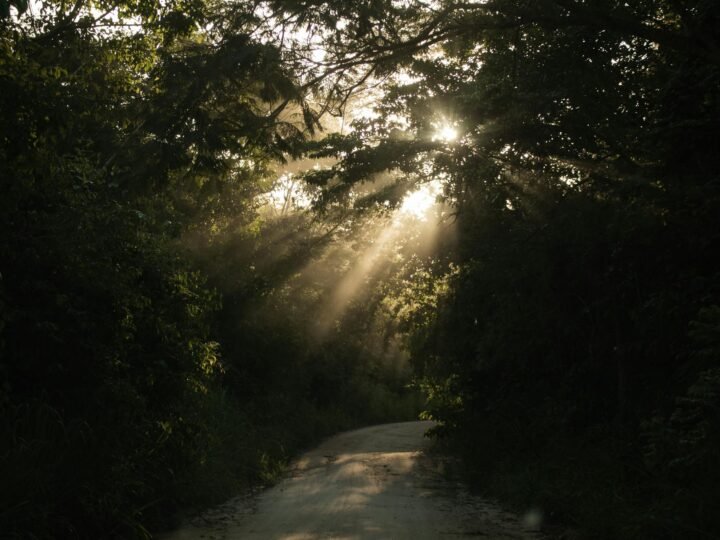 Os 7 Destinos Brasileiros Que Vão Bombas em 2026: Guia Completo para Planejar Agora