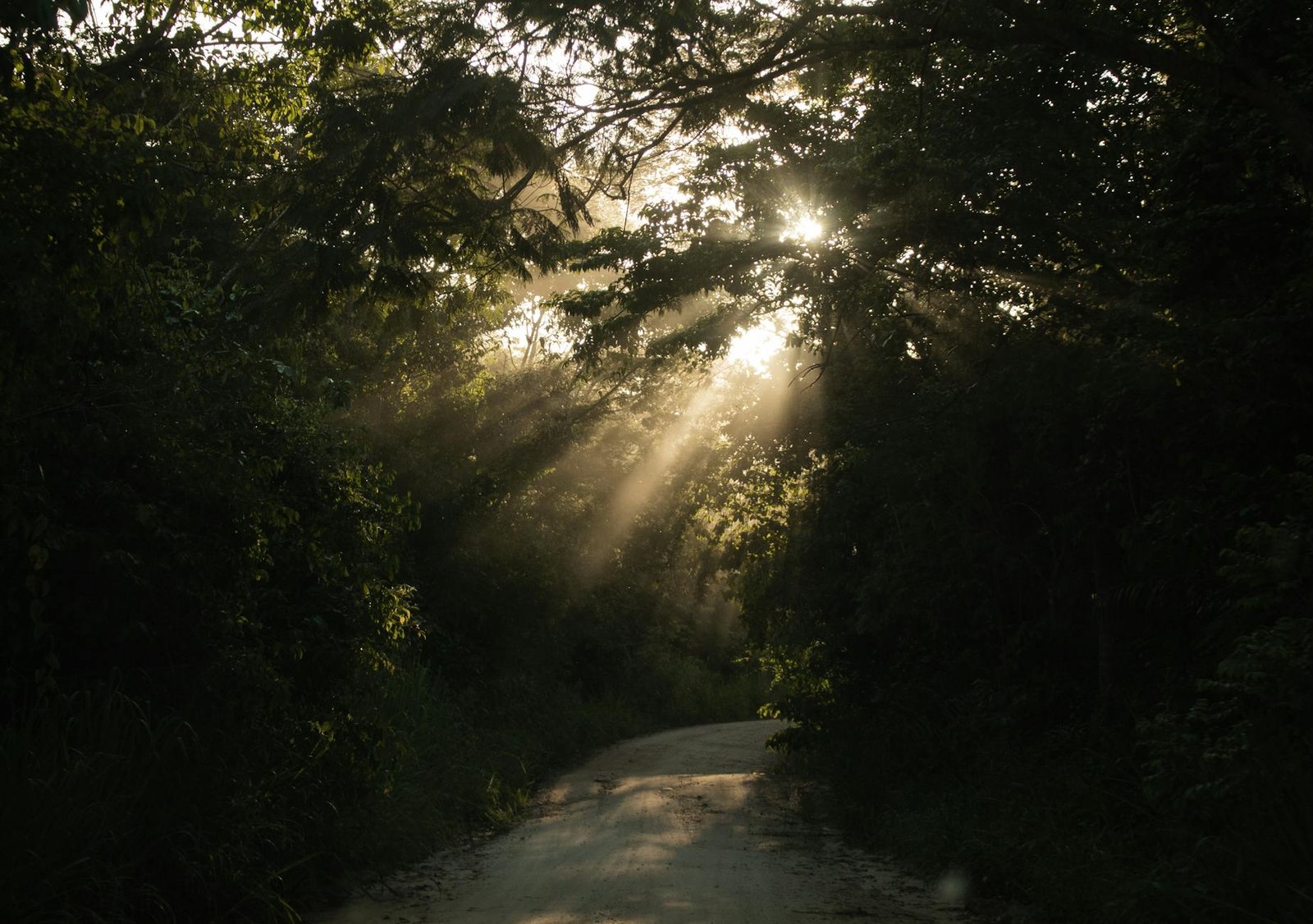 Os 7 Destinos Brasileiros Que Vão Bombas em 2026: Guia Completo para Planejar Agora