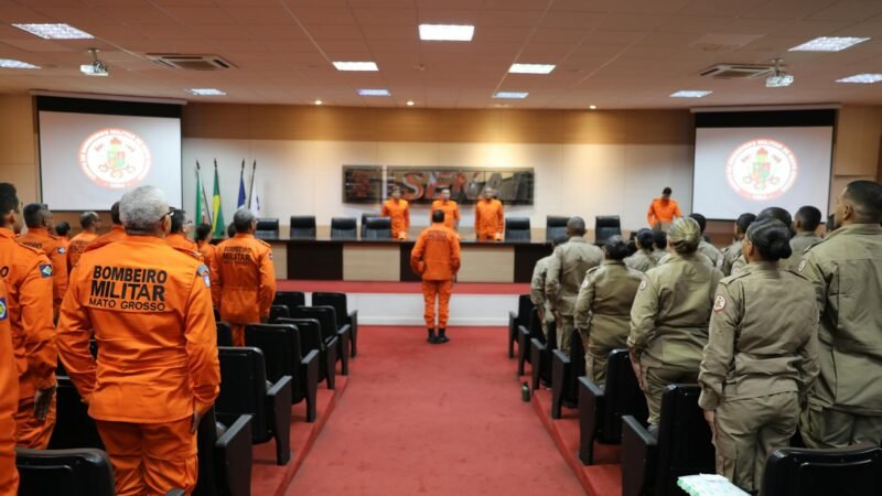 Aprovação na Primeira Tentativa: Dicas Essenciais Para Passar em Concurso Público