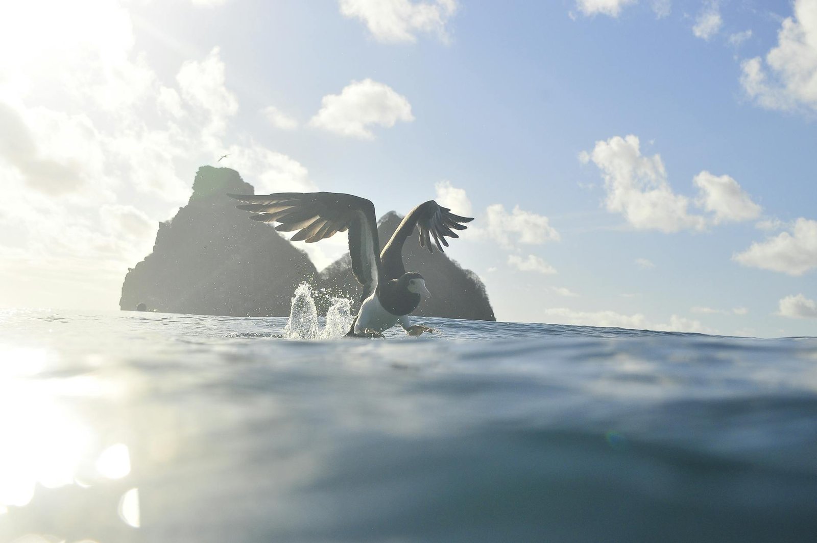Fernando de Noronha: O Guia Completo e Essencial para uma Viagem Inesquecível