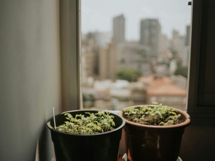 Horta em Casa: Guia Definitivo para Plantar em Pequenos Espaços e Varandas com Sucesso