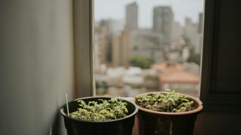 Horta em Casa: Guia Definitivo para Plantar em Pequenos Espaços e Varandas com Sucesso