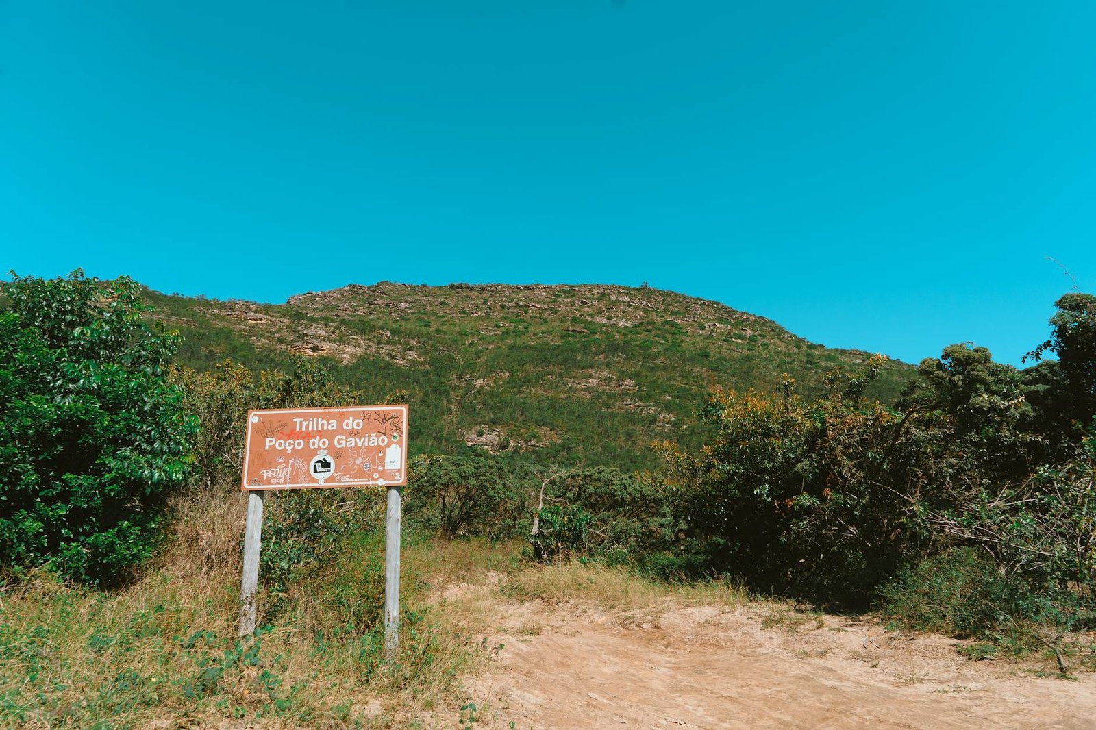 Melhores Destinos de Ecoturismo no Brasil para Famílias Aventureiras: Guia Completo para sua Próxima Jornada!