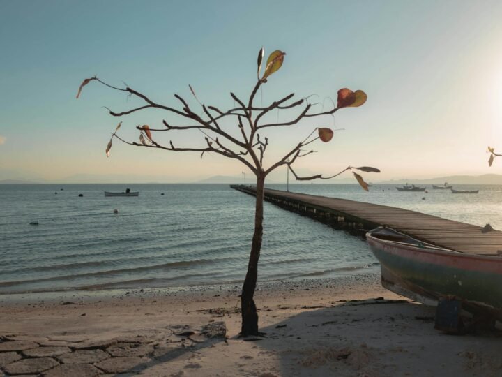 Florianópolis Inesquecível: Pontos Turísticos e Praias Imperdíveis para Sua Viagem