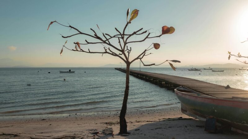Florianópolis Inesquecível: Pontos Turísticos e Praias Imperdíveis para Sua Viagem