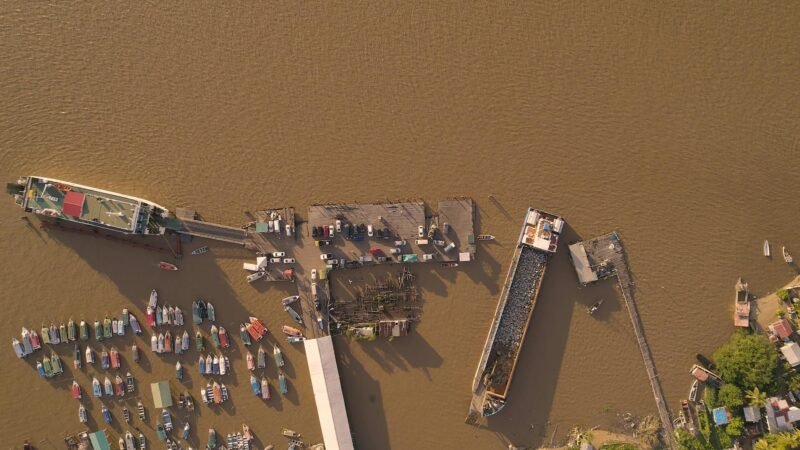 O que Significa ‘Meme Guiana Brasileira’? Desvendando a Origem e o Impacto Cultural