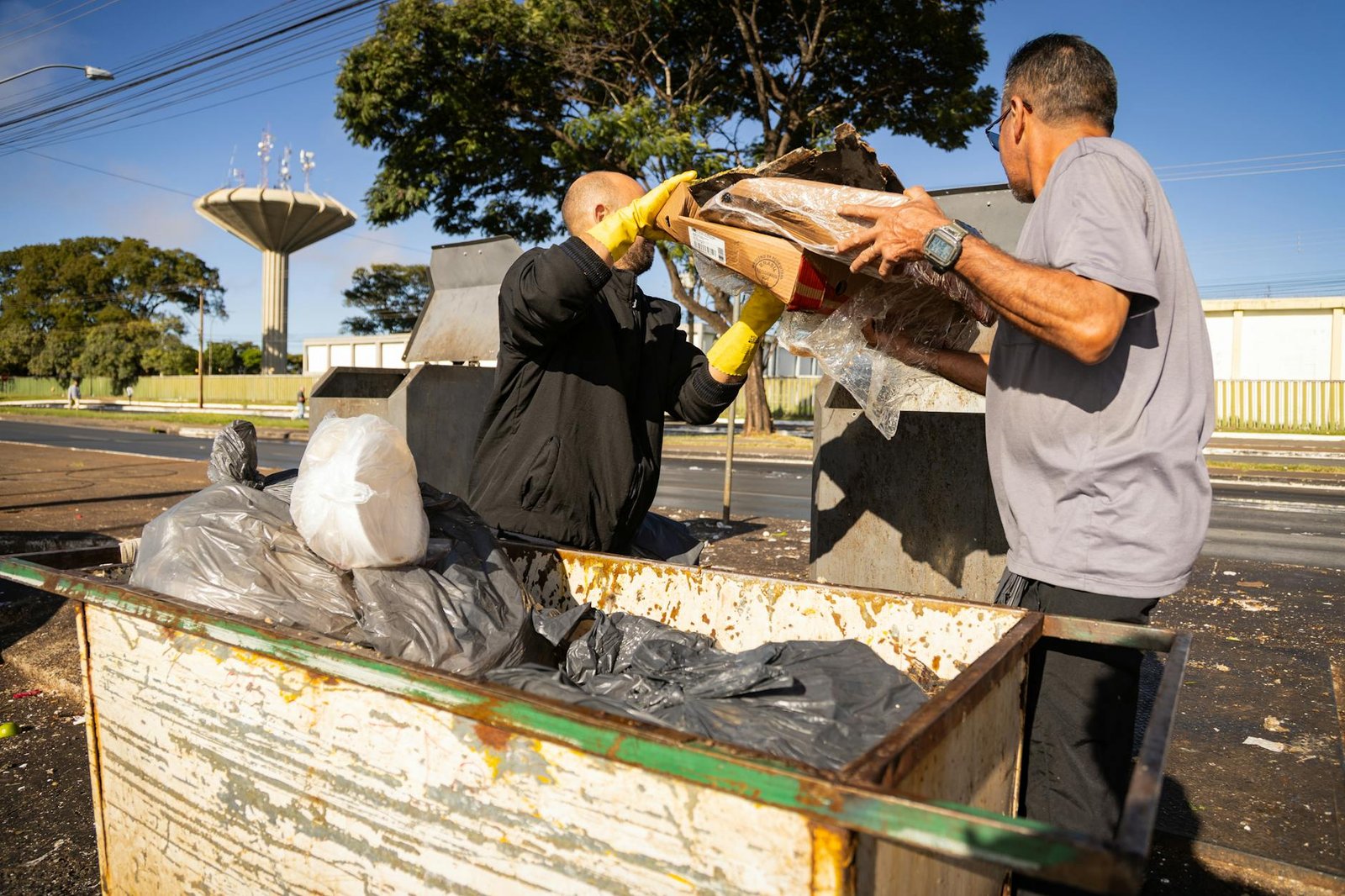 Domine a Reciclagem: Entenda Como Funciona e Aprenda a Separar o Lixo do Jeito Certo