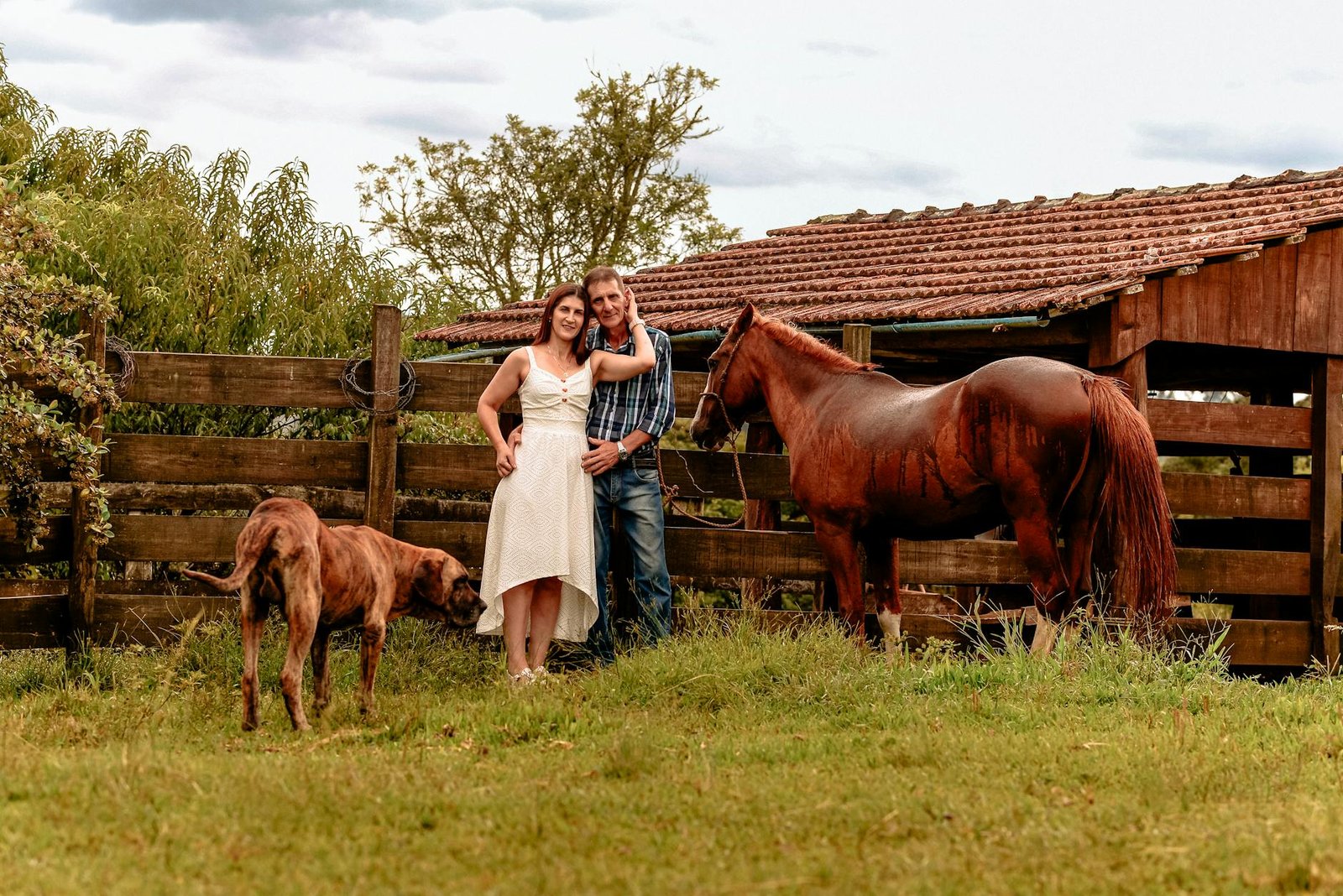 Turismo Rural no Brasil: Destinos Inesquecíveis para Relaxar e Reconectar com a Natureza